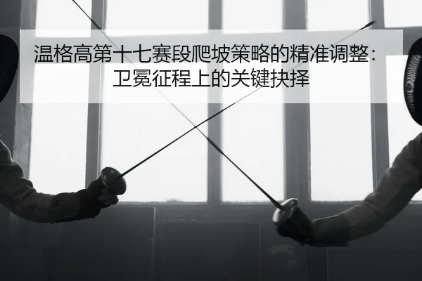 wen-ge-gao-di-shi-qi-sai-duan-pa-po-ce-lve-de-jing-zhun-tiao-zheng-wei-mian-zheng-cheng-shang-de-guan-jian-jue-ze-2-185.jpg