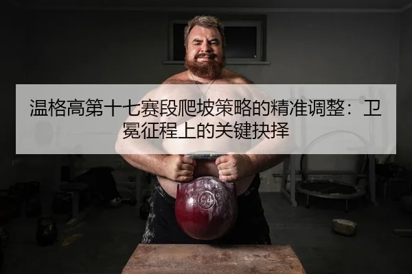 温格高第十七赛段爬坡策略的精准调整：卫冕征程上的关键抉择